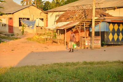 DSC_4277 (Large).JPG